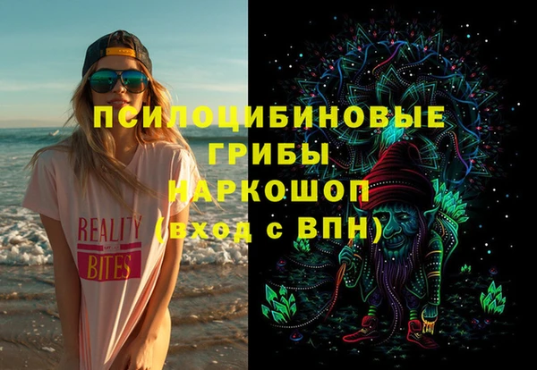 спиды Мегион