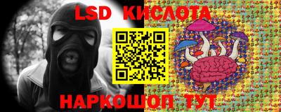 СК Ставрополь