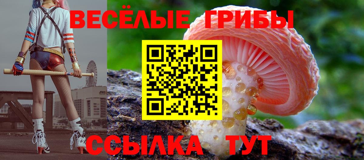 Новый Уренгой  Псилоцибиновые грибы GOLDEN TEACHER  где можно купить наркотик  Вход с VPN 